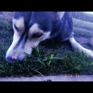 Meet your Posher, Chloe